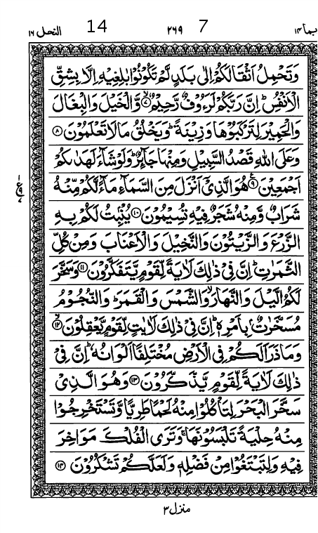Quran Page
